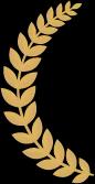 Google Review Leaf Left